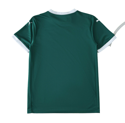 2526 season Palmeiras home Fan version